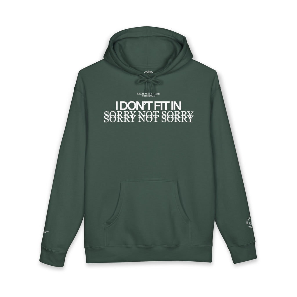 I Don't Fit In Hoodie