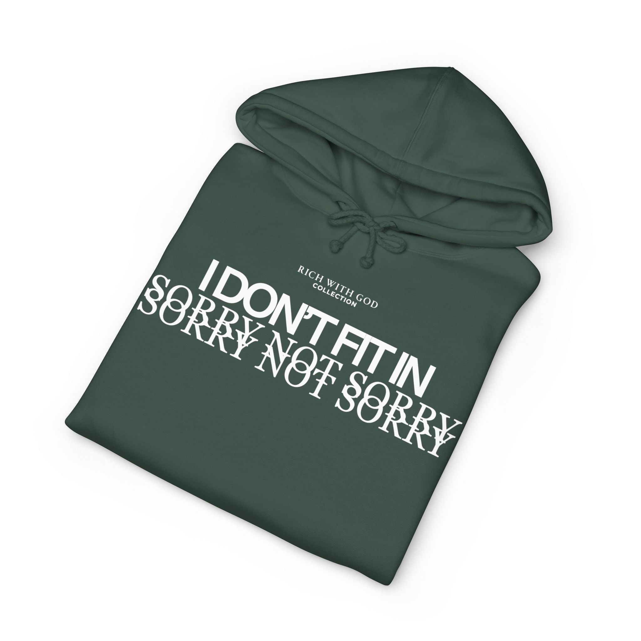 I Don't Fit In Hoodie